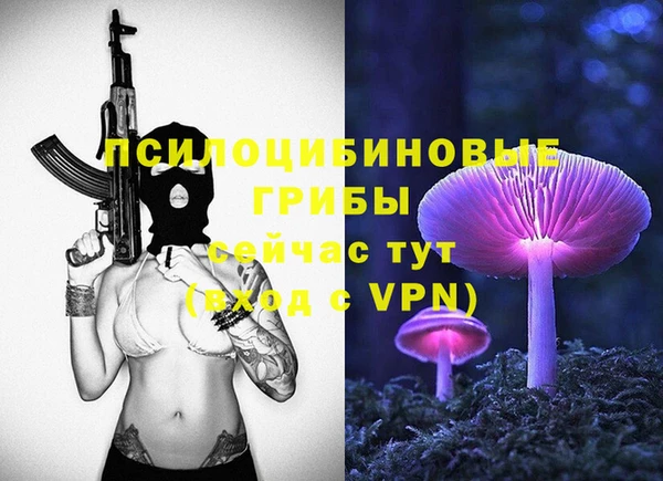 Альфа ПВП Гусиноозёрск