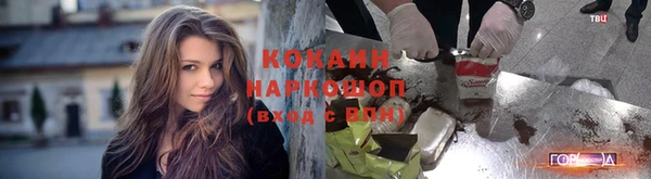 Альфа ПВП Гусиноозёрск
