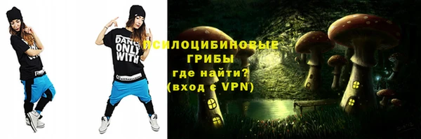 прущие грибы Гусев