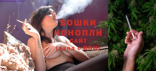 прущие грибы Гусев
