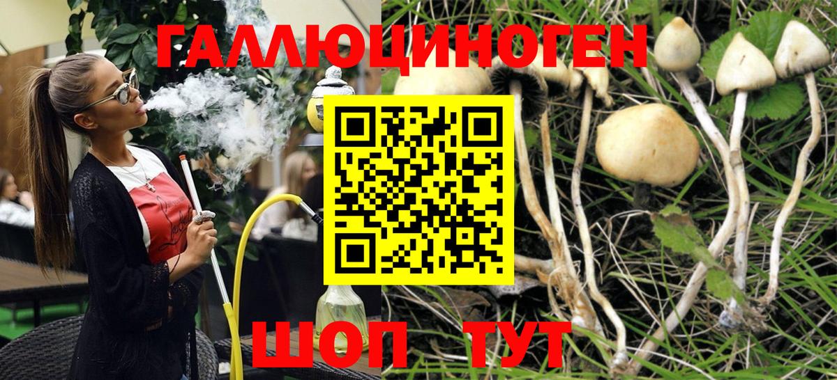 Губкин  Псилоцибиновые грибы мицелий  закладка  Вход с VPN 