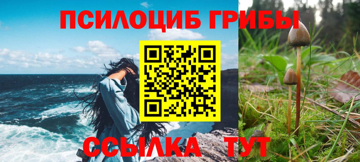 Псилоцибиновые грибы ЛСД Губкин