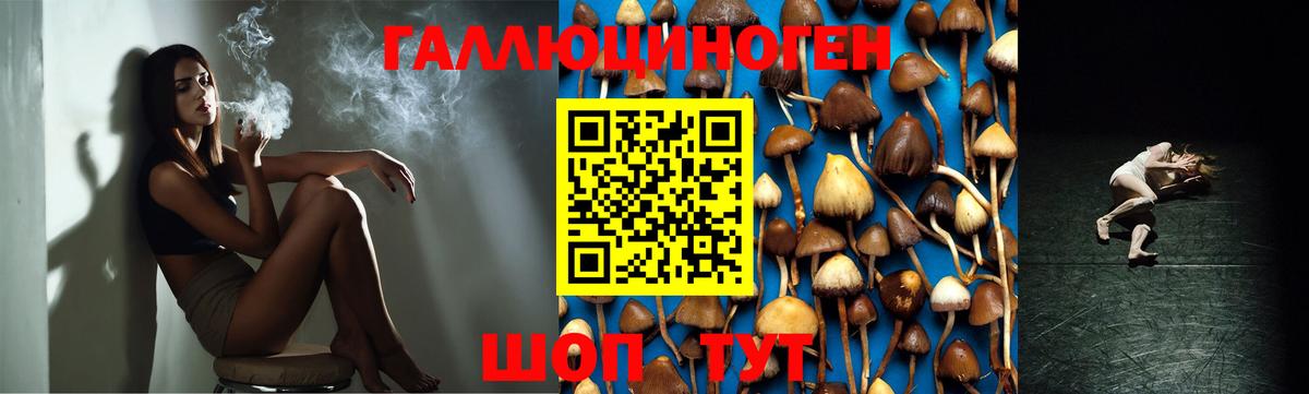 Галлюциногенные грибы Magic Shrooms  Губкин 